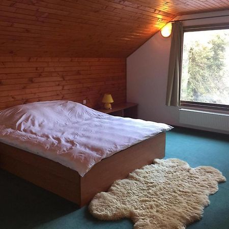 Villa Mara Sinaia Dış mekan fotoğraf