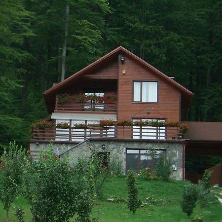 Villa Mara Sinaia Dış mekan fotoğraf