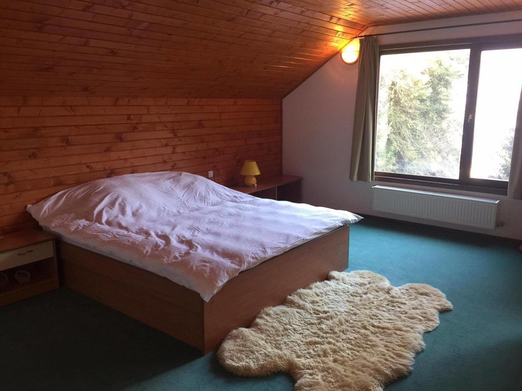 Villa Mara Sinaia Dış mekan fotoğraf