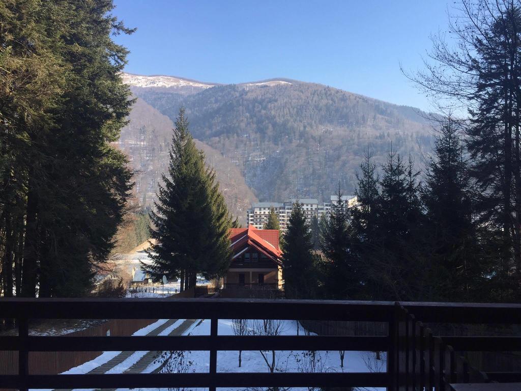 Villa Mara Sinaia Dış mekan fotoğraf