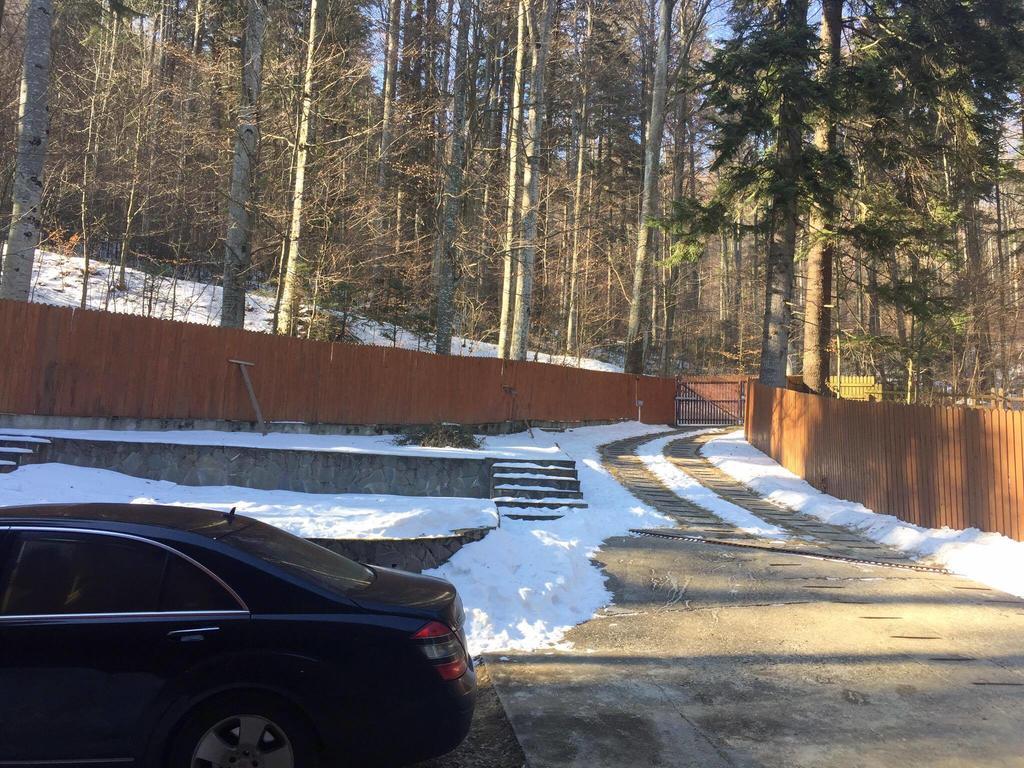 Villa Mara Sinaia Dış mekan fotoğraf