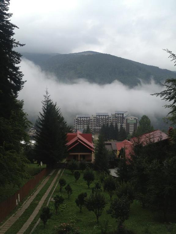Villa Mara Sinaia Dış mekan fotoğraf
