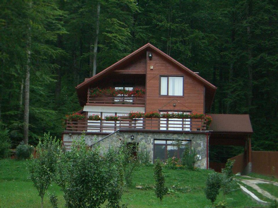 Villa Mara Sinaia Dış mekan fotoğraf