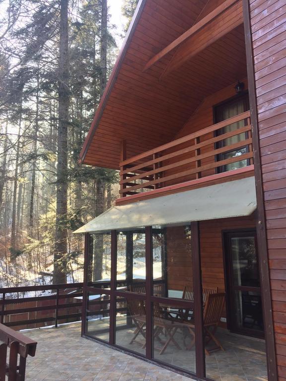 Villa Mara Sinaia Dış mekan fotoğraf