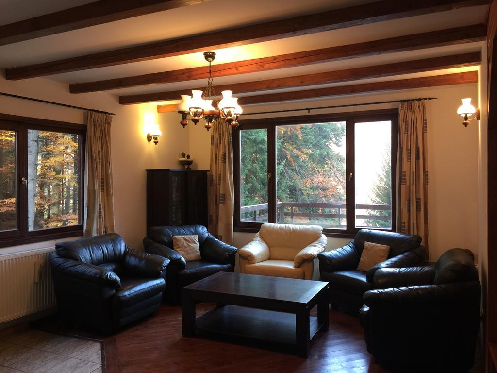 Villa Mara Sinaia Dış mekan fotoğraf