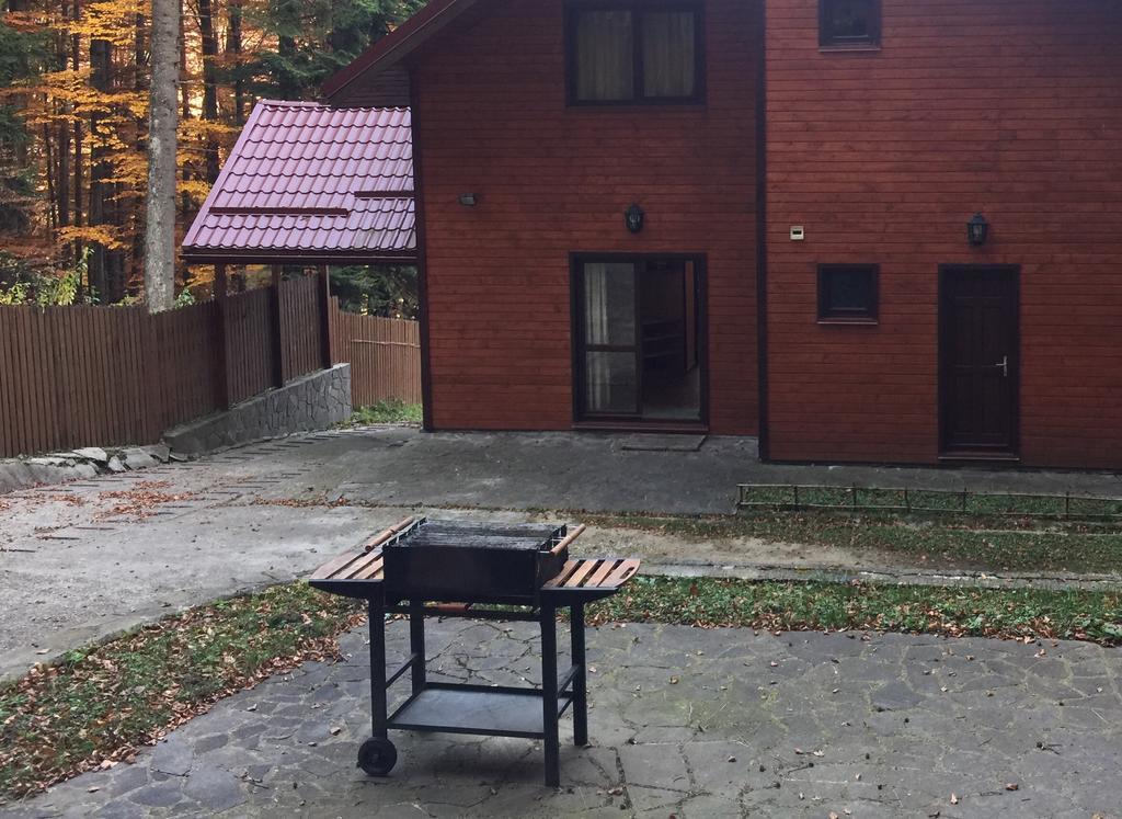 Villa Mara Sinaia Dış mekan fotoğraf